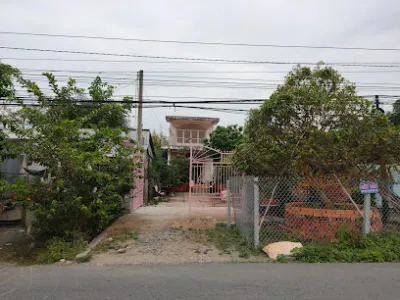 cây cảnh mai nhường - cửa hàng bán buôn cây cảnh