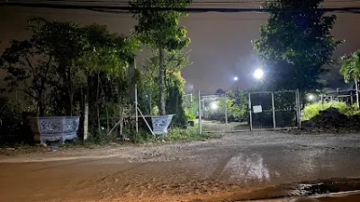 cây cảnh thiên trúc - cửa hàng bán buôn cây cảnh