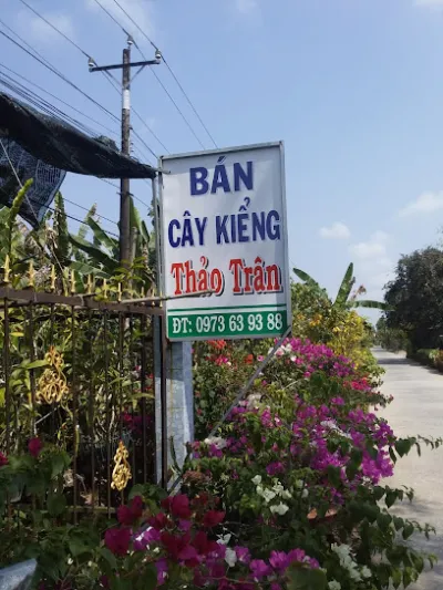 cây kiểng thảo trân - cửa hàng bán buôn cây cảnh
