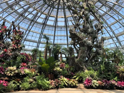 cây xanh nha trang ( hoàng đông ) - cửa hàng bán buôn cây cảnh