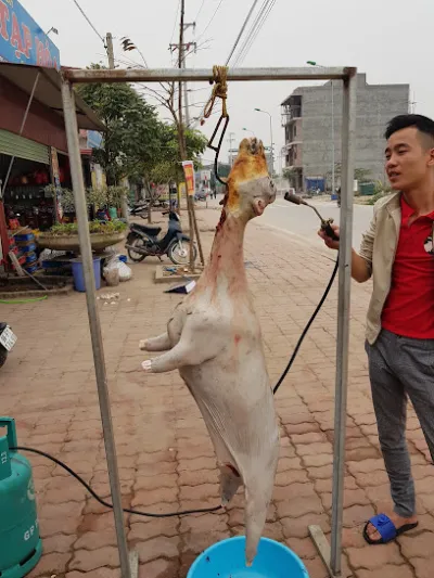 chân, cánh gà nướng thụ yến - bị đóng vĩnh viễn