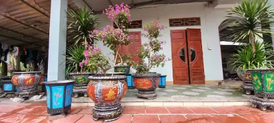 chậu cảnh, cây cảnh xuân tuyến tn - cửa hàng