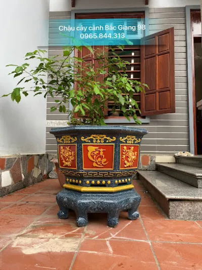 chậu cây cảnh bắc giang 98 - cửa hàng chậu cây cảnh bắc giang 98 - cửa hàng