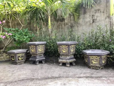 chậu cây cảnh vinh thanh - cửa hàng bán buôn cây cảnh