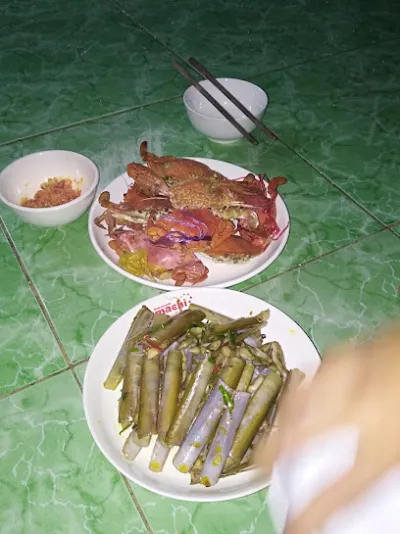 chậu hoa, cây cảnh, phân bón - nhà cung cấp phân bón