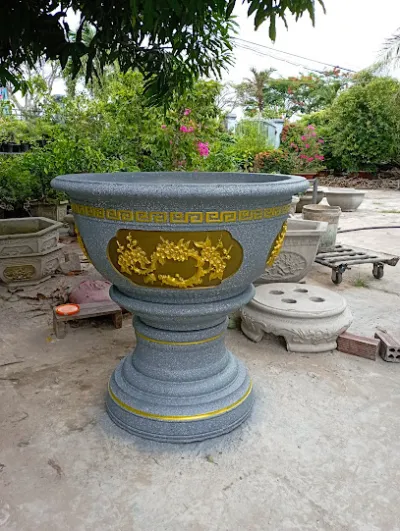 chậu kiểng nhựt tân - dịch vụ cây cảnh