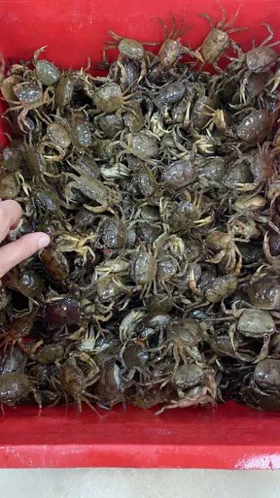 chợ xanh phố nối - chợ hải sản