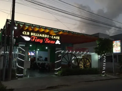 clb bida tiny bear - câu lạc bộ bi da lỗ