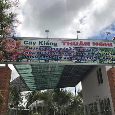 cơ sở cây kiểng thuận nghi - cửa hàng hoa