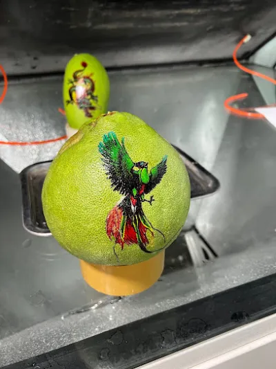 cơ sở in ấn và thiết kế minh vy - văn phòng công ty