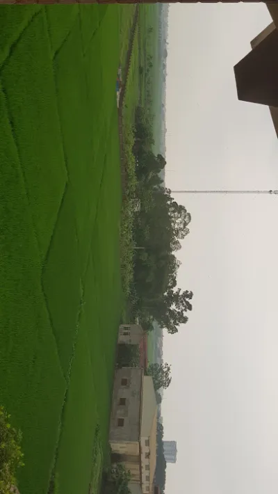 cơ sở in thiệp cưới nghị hương - máy in công nghiệp