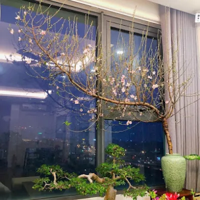 cơ sở nhôm kính việt nhật - cửa hàng vật liệu xây dựng cơ sở nhôm kính việt nhật - cửa hàng vật liệu xây dựng