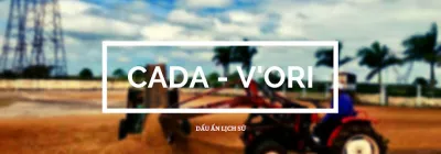 cội nguồn cà phê việt - trang trại cây