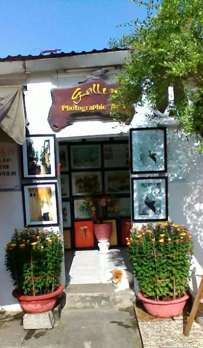 cơm gà ty - nhà hàng việt nam