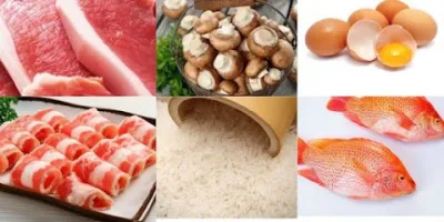 cơm hộp thái bình - khu ăn uống