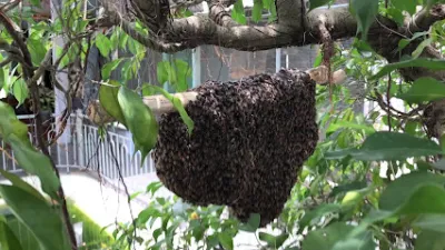 công ty tnhh dịch vụ kế toán và tư vấn thuế toàn tâm việt - văn phòng công ty