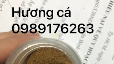 công ty tnhh dv đầu tư và phát triển quốc hà - nhà sản xuất thức ăn chăn nuôi công ty tnhh dv đầu tư và phát triển quốc hà - nhà sản xuất thức ăn chăn nuôi