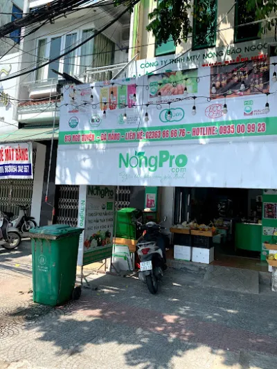 công ty tnhh mtv nông bảo ngọc - cửa hàng bán thực phẩm sạch