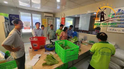 công ty tnhh nông nghiệp sạch bến tre farm  rau sạch bến tre - cửa hàng rau quả