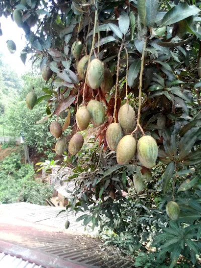 công ty trách nhiệm hữu hạn một thành viên đức nhân lào cai - cửa hàng vật liệu xây dựng