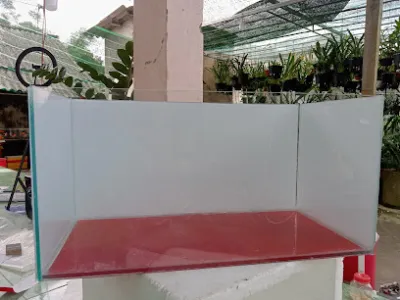 cửa hàng cá cảnh hương lê văn - cửa hàng cá cảnh