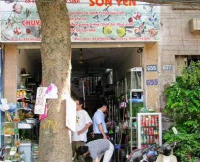 cửa hàng cá cảnh sơn yến - cửa hàng đồ cá cảnh