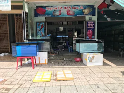 cửa hàng cá cảnh thanh - cửa hàng vật nuôi