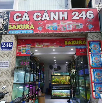 cửa hàng cá cảnh thủy sinh 246 - cửa hàng đồ vật nuôi