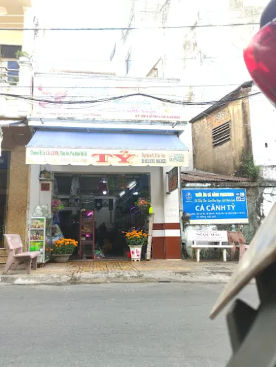 cửa hàng cá cảnh tỷ 02 đường ngô quyền k2 ,phường 1 sóc trăng - cửa hàng