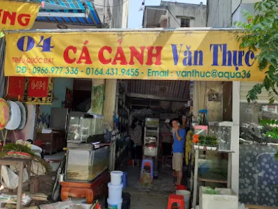 cửa hàng cá cảnh văn thực - cửa hàng vật nuôi