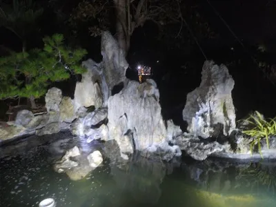 cửa hàng cây cảnh huế - dịch vụ cây cảnh