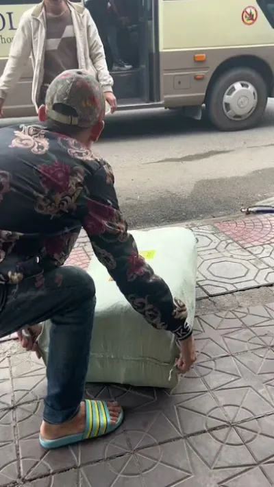 cửa hàng chim cá cảnh hùng nis - cửa hàng vật nuôi