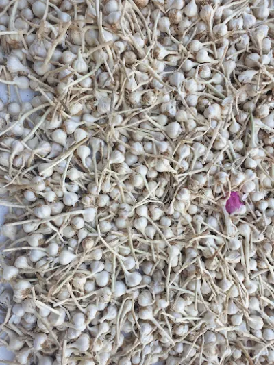 cửa hàng đặc sản hành tỏi, chả cá lý sơn - thu thủy - cửa hàng bán thực phẩm sạch