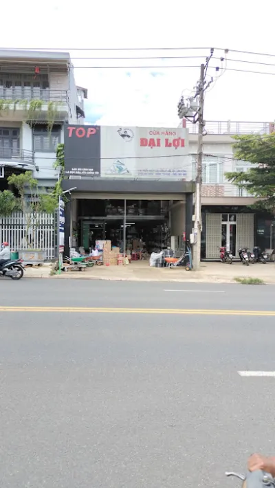 cửa hàng đại lợi chuyên sỉ mặt hàng kim khí điện nước - cửa hàng