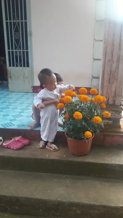 cửa hàng đồ gỗ nội thất gia phát - cửa hàng bán dụng cụ sửa nhà