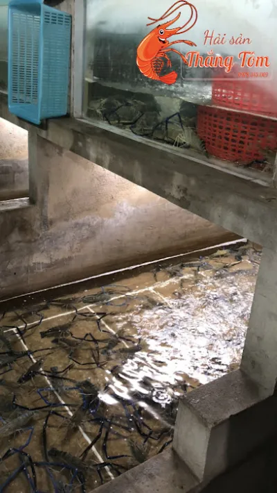 của hàng hải sản thắng tôm càng xanh - chợ hải sản