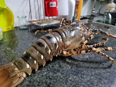 cửa hàng hải sản trường sa - nhà bán buôn hải sản