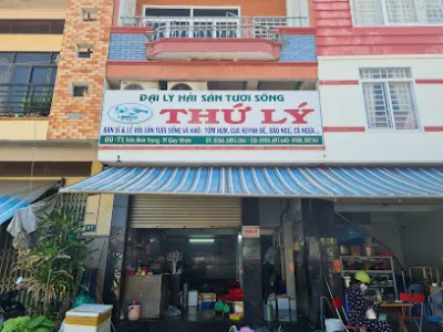 cửa hàng hải sản tươi sống thứ lý( quy nhơn) - cửa hàng bán buôn
