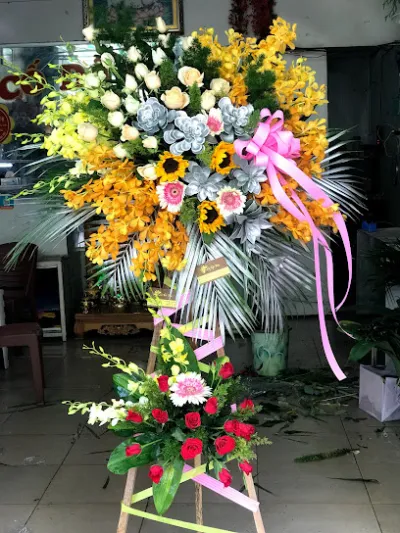 cửa hàng hoa cố đô - cửa hàng hoa cửa hàng hoa cố đô - cửa hàng hoa
