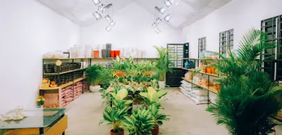 cửa hàng hoa kiểng tuấn trần - cửa hàng hoa