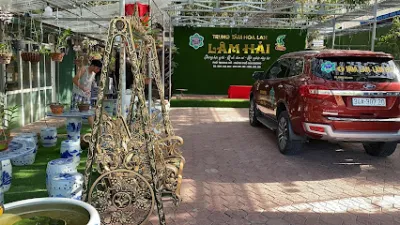 cửa hàng hoa lan lâm hải - cửa hàng hoa