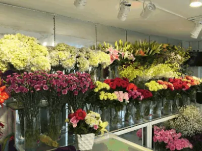 cửa hàng hoa tươi nhã vân - cửa hàng hoa