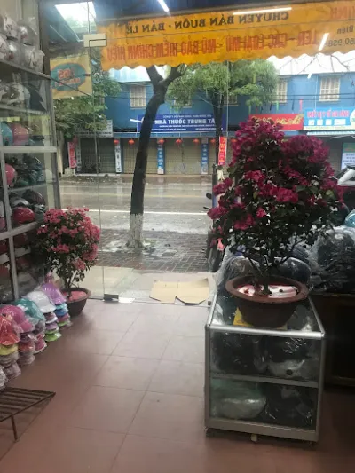 cửa hàng mũ bảo hiểm bình vịnh - cửa hàng