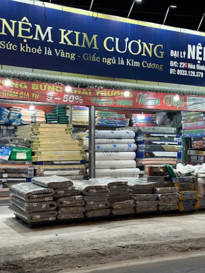 cửa hàng nệm việt - nemviet.vn ( bảng hiệu màu xanh ) - cửa hàng bán đệm