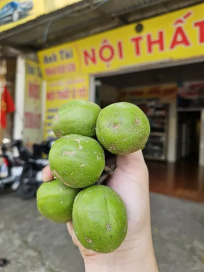 cửa hàng nội thất ô tô anh tài - cửa hàng