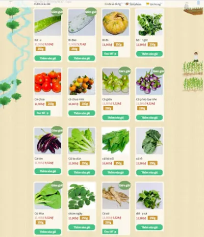 cửa hàng rau hữu cơ - keis bình định - văn phòng công ty