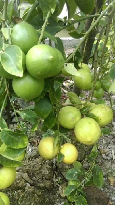 cửa hàng sách đào ngọc việt - cửa hàng đồ gia dụng