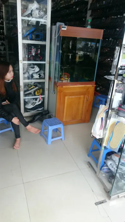 cửa hàng sắt thép vinh hạnh - cửa hàng vật liệu xây dựng