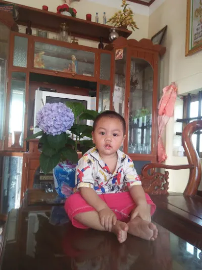 cửa hàng tạp hoá bình thảo - cửa hàng tạp phẩm