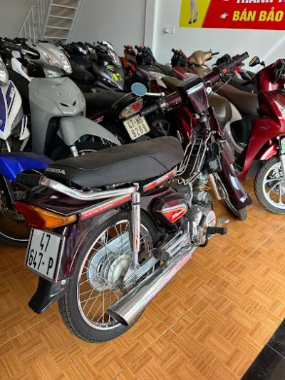 cửa hàng tạp hóa cô xuân - cửa hàng bách hóa